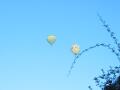 /melbourne/2002/01/24-balloons-1