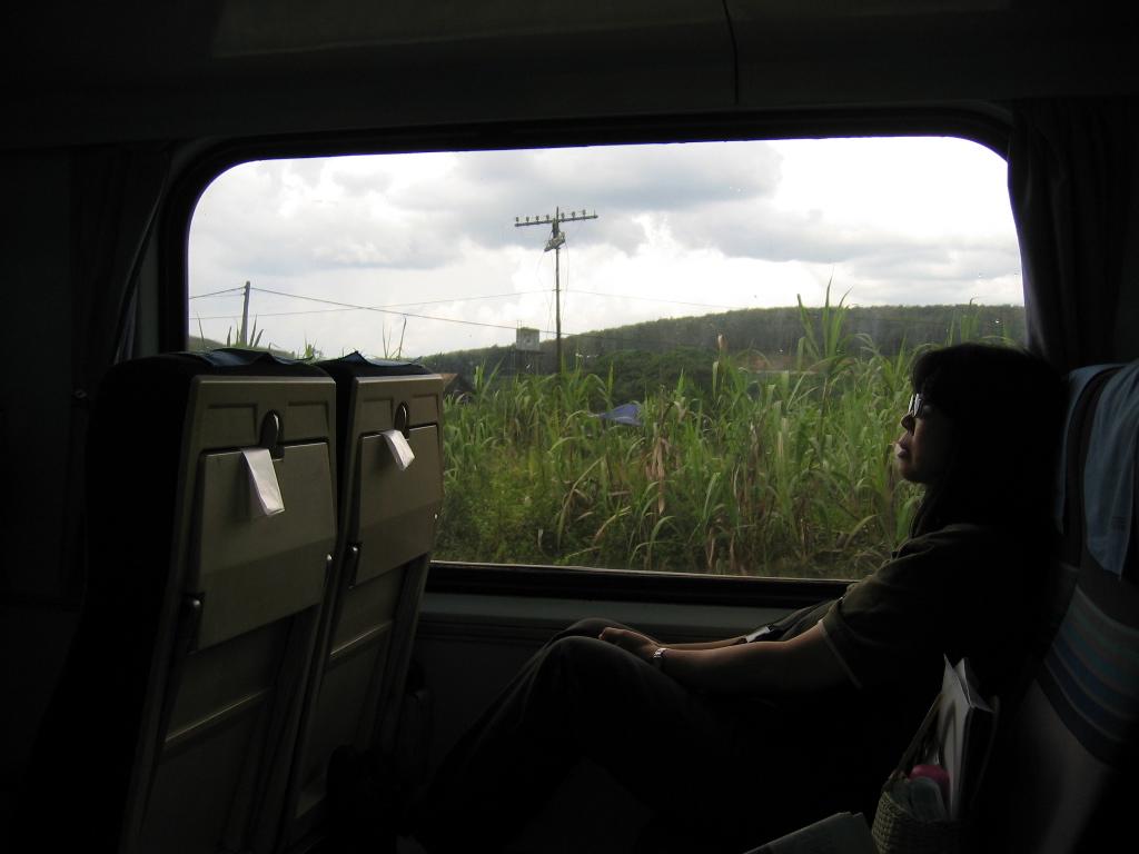 the view out of the opposite window on a train, with a single person sitting to the right. You can see a pole outside, and some greenery.